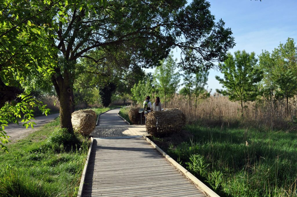 Evasion-Montpellier-08-Grains-de-Mejean-Maison-de-la-nature