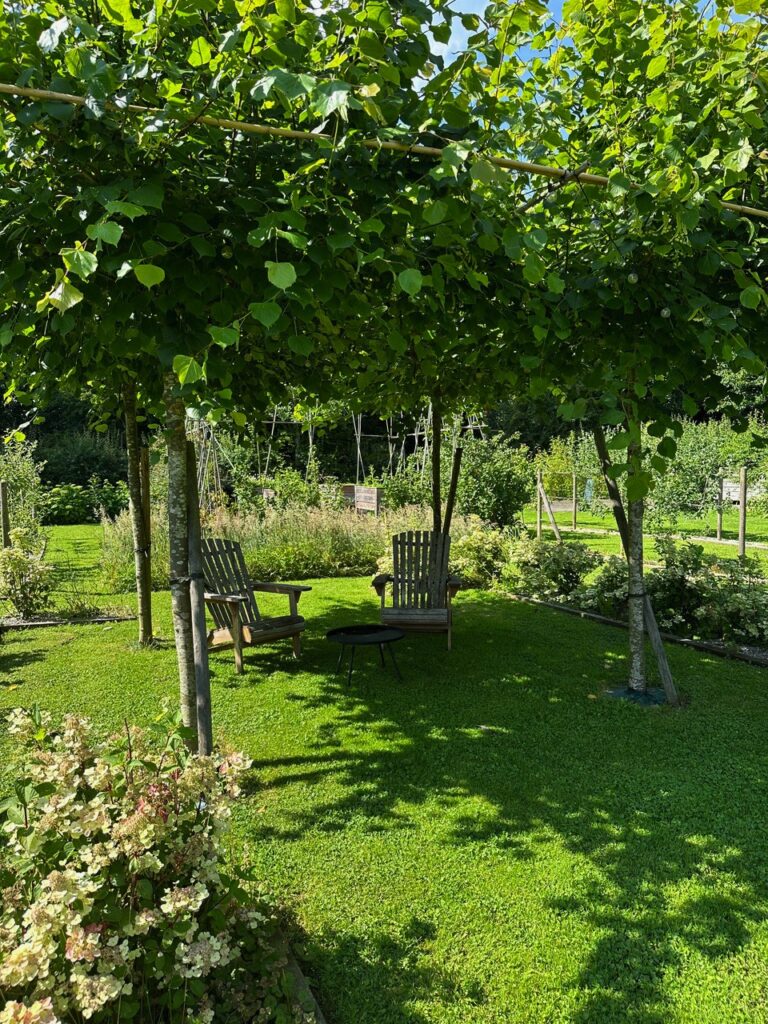 issi-mag-66-architecture-m-deko-01