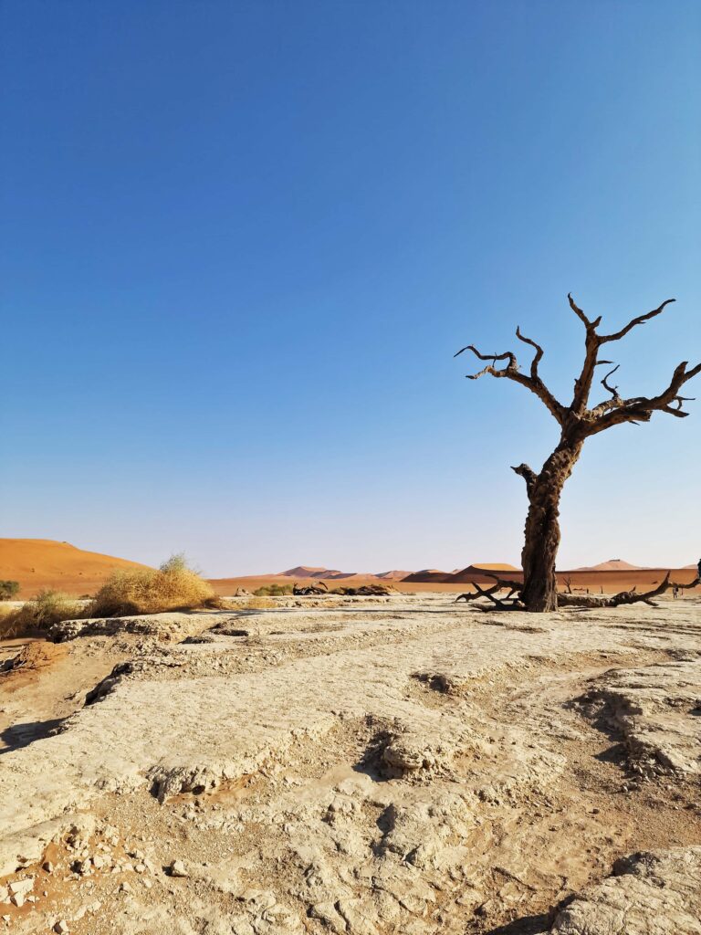 Lifestyle-Kin-et-Bo-11