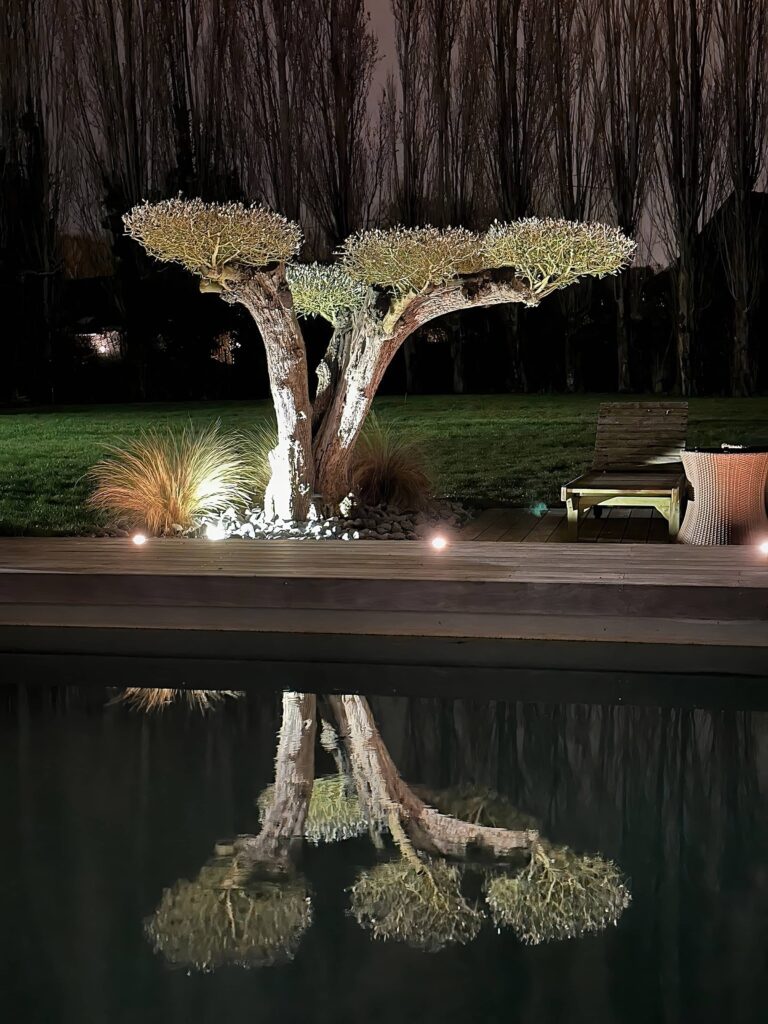 Architecure-jardin-les-jardins-de-la-pevele-04