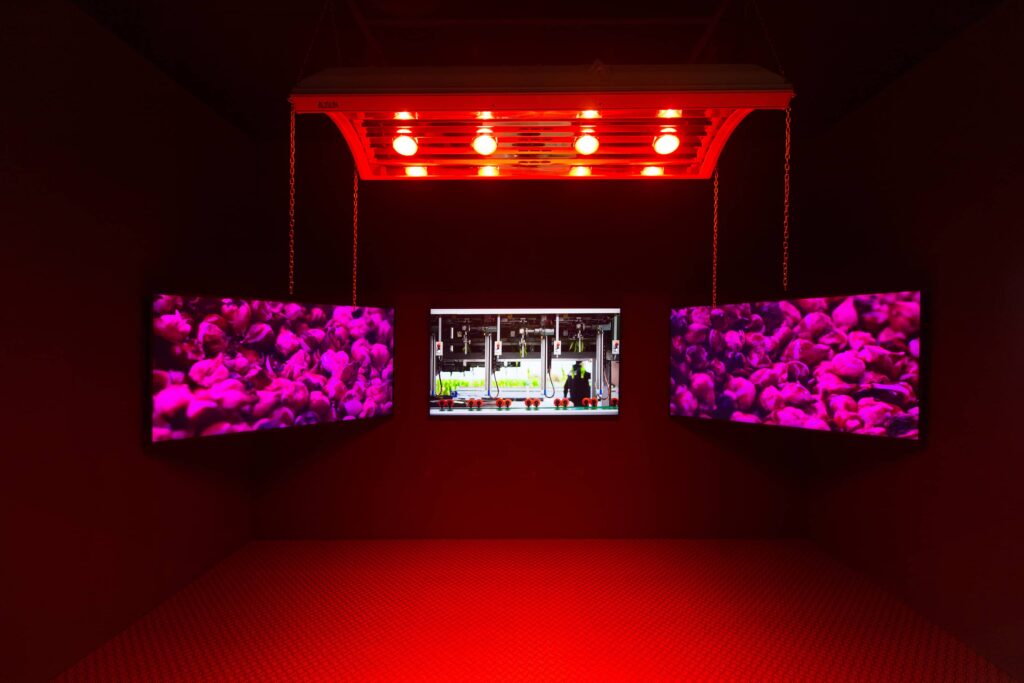 Lifestyle-Artup-05-Mondriaan-Fonds-Prospects-2025-📸-Tommy-Smits-6874