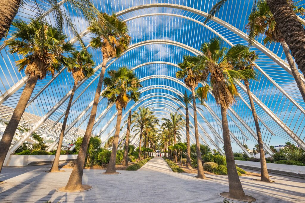 Evasion-Valence-05-Umbracle@AdobeStock-herraez